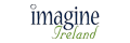 Imagine Ireland logo