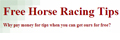 Free Horse Racing Tips logo