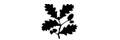 National Trust Shop logo