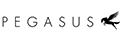 PEGASUS Menswear logo
