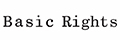 Basic Rights logo