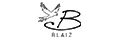 BLAIZ logo