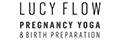 Lucy Flow logo