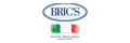 Brics logo