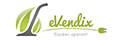 eVendix logo