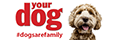 Your Dog logo