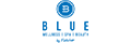 BLUE Wellness logo